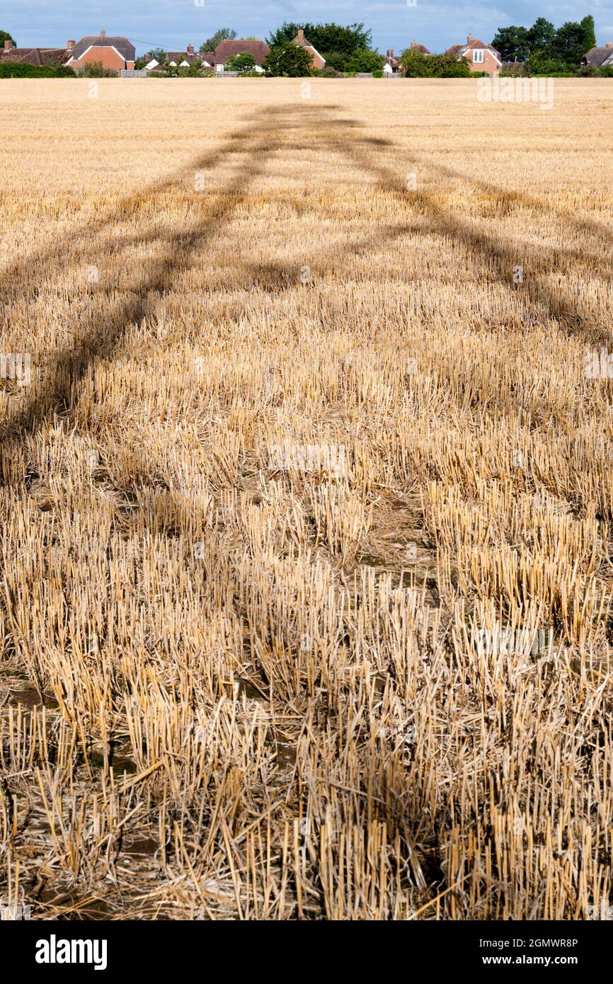 Oxfordshire, Inghilterra - 28 luglio 2020; nessuna gente in vista. Amo i piloni elettrici; trovo le loro forme astratte e gaunt infinitamente affascinanti. E h Foto Stock