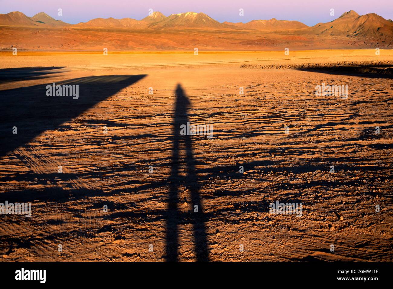 Deserto di Atacama, Cile - 27 maggio 2018; il deserto di Atacama del Cile è il  luogo più arido della terra, e si sente così...secco, alto e caldo mi  descrive Foto stock - Alamy