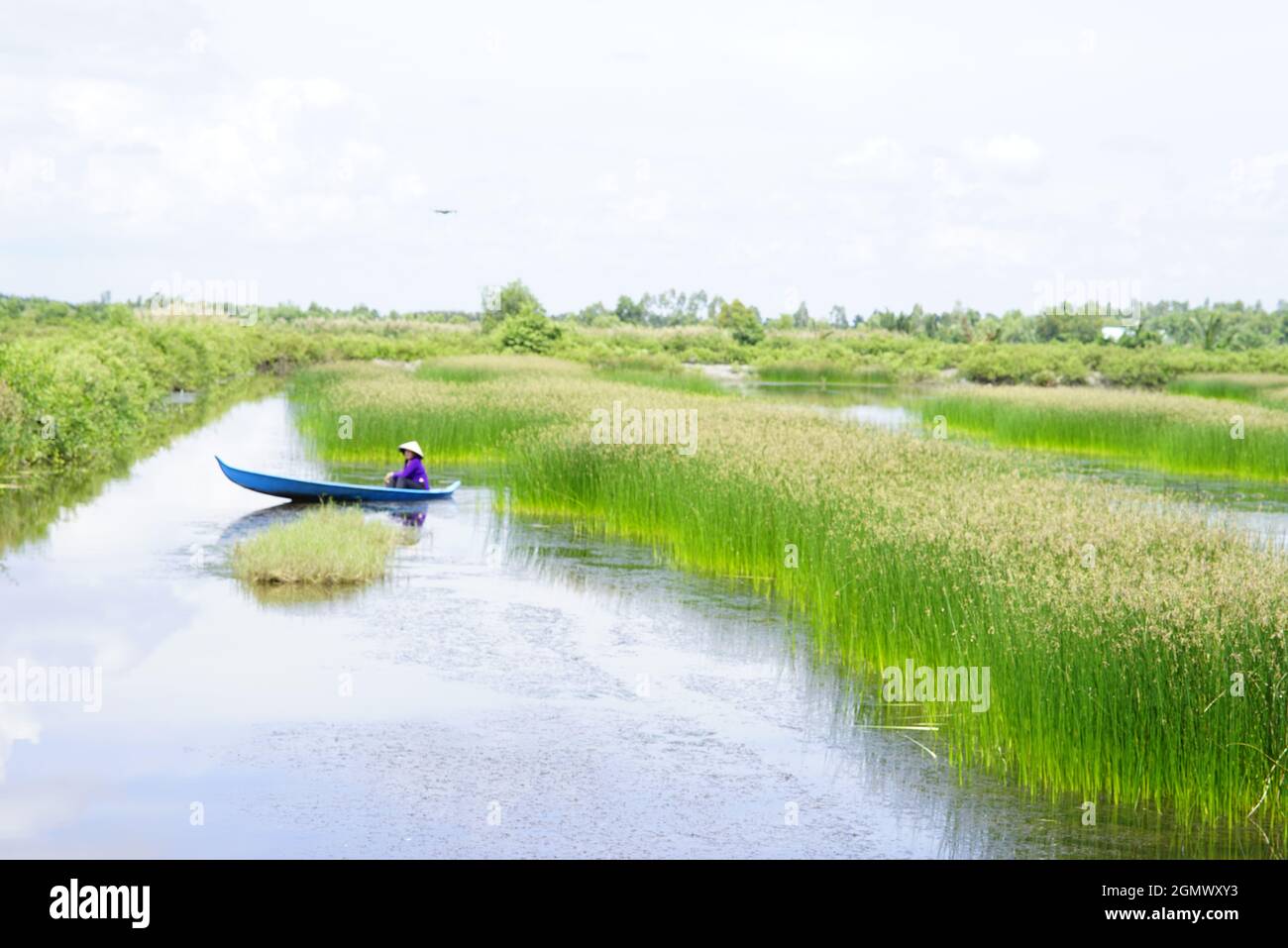 Bel paesaggio nella provincia di CA Mau Vietnam meridionale Foto Stock