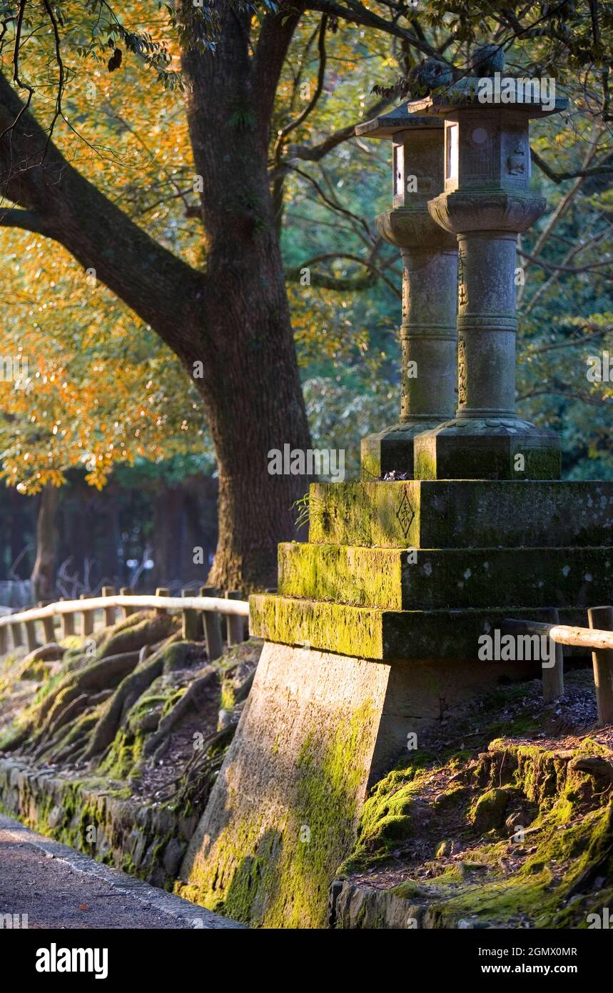 Nara, Giappone - 3 novembre 2005 Kasuga Grand Shrine è un antico santuario di Shinto, patrimonio dell'umanità dell'UNESCO, nella città di Nara, in Giappone. Fondato nel 768 CE, è t Foto Stock