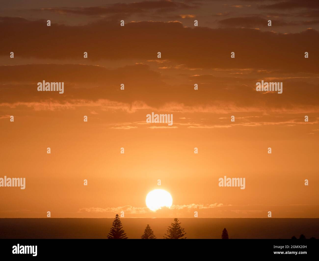 Tauranga, Nuova Zelanda - 1 Marzo 2019 un luminoso e dorato sorgere del sole sul porto di Tauranga nella Baia di Plenty, Isola del Nord della Nuova Zelanda. Nel di Foto Stock