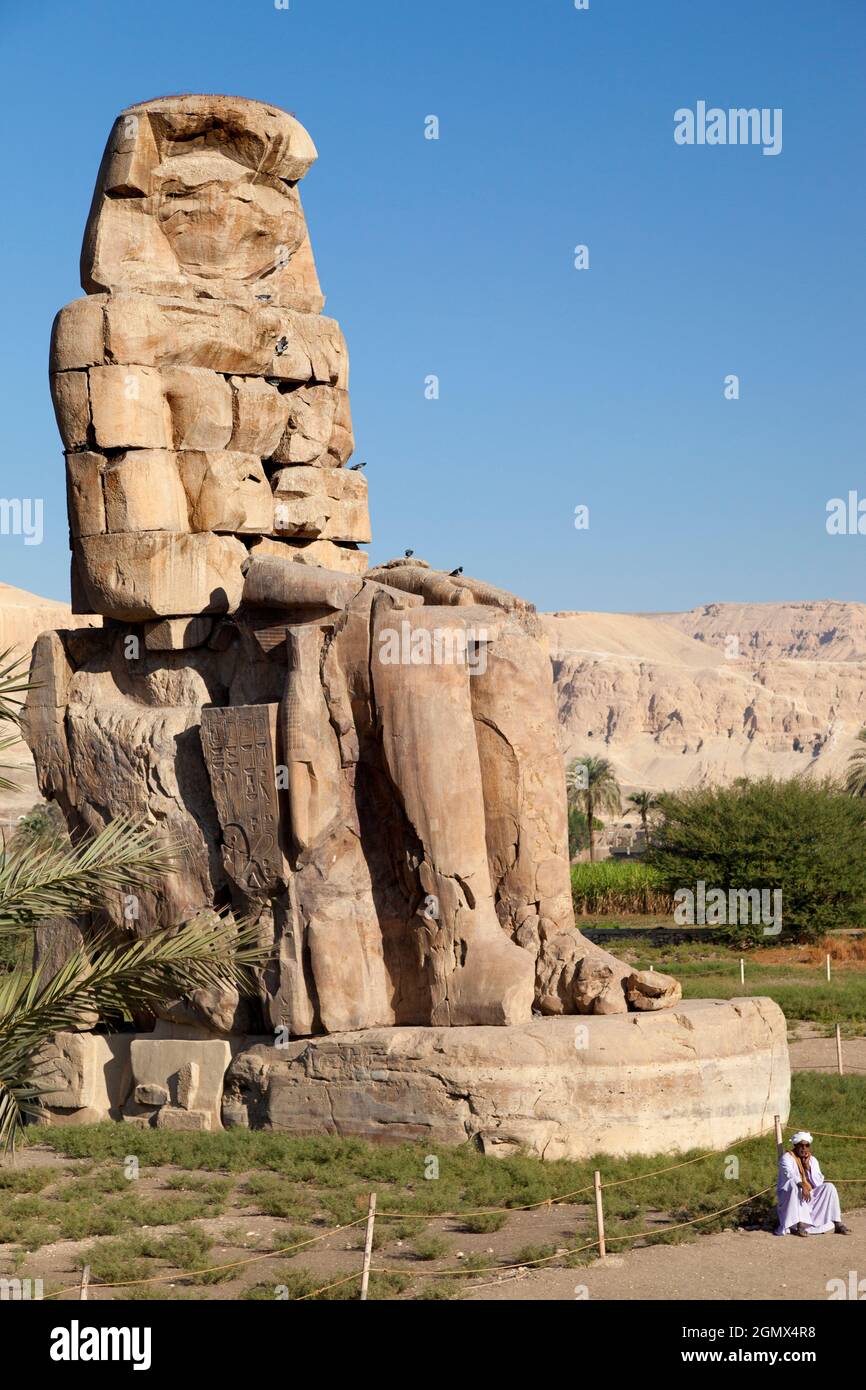 Luxor, Egitto - 30 novembre 2010; i Colossi di Memnone sono due statue di pietra massiccia del faraone Amenhotep III seduto sul suo geroglifico-inscritto Foto Stock