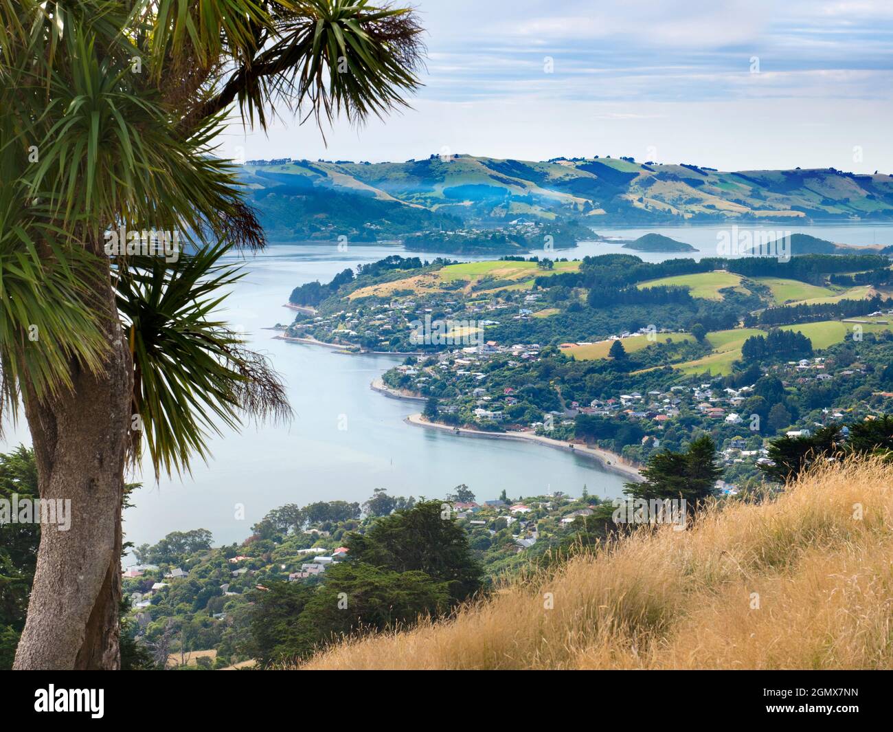 Otago, Nuova Zelanda Isola del Sud - 26 Febbraio 2019 Un paradiso naturalistico e paesaggistico, la Penisola di Otago è una lunga striscia collinare di terra che forma il Th Foto Stock