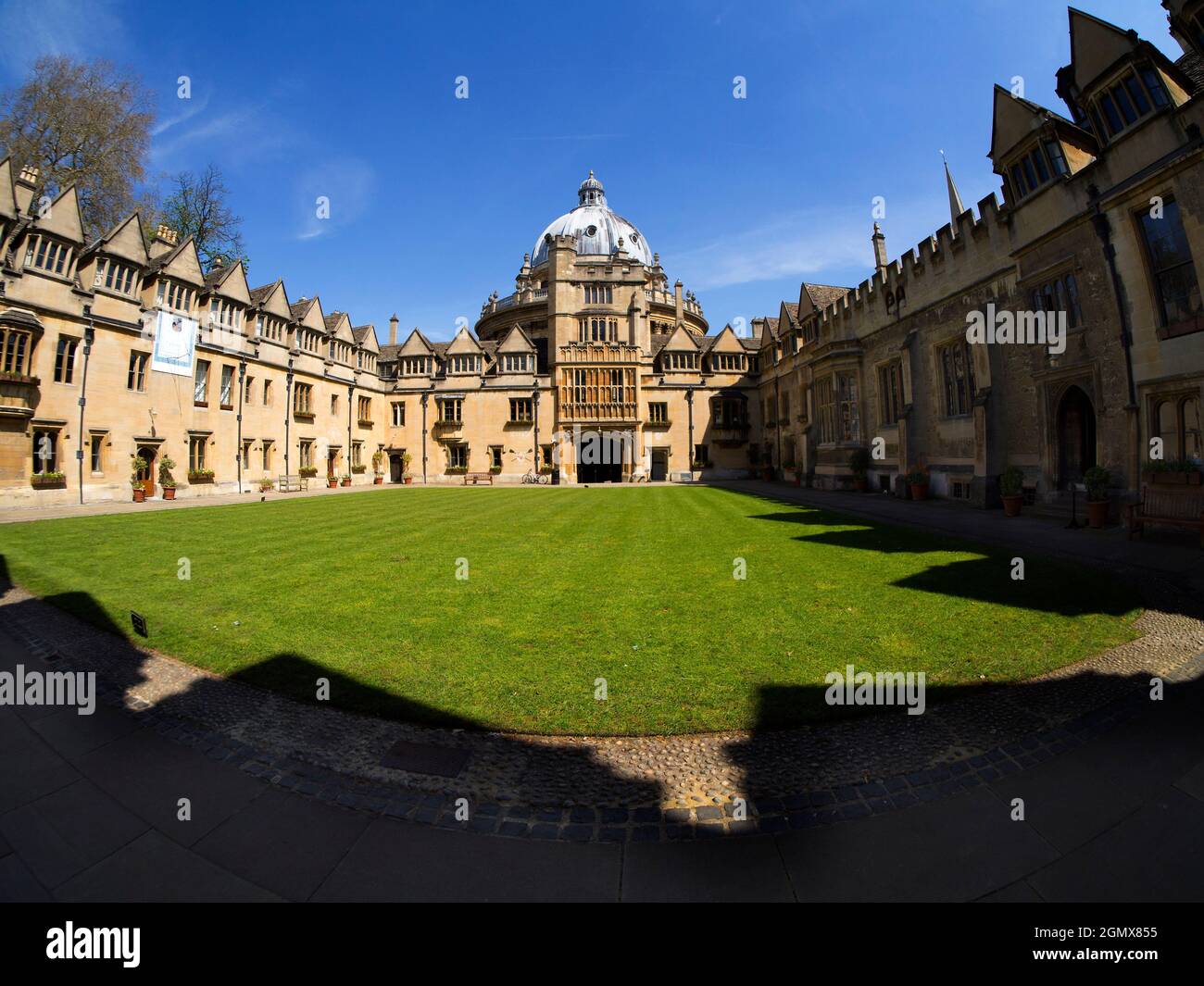 Il Collegio Brasenose è stato fondato nel 1509, con la biblioteca e la cappella del Collegio - qui mostrati - aggiunti a metà del XVII secolo. Il suo strano nome è Believe Foto Stock Il Collegio Brasenose è stato fondato nel 1509, con la biblioteca e la cappella del Collegio - qui mostrati - aggiunti a metà del XVII secolo. Il suo strano nome è Believe Foto Stock