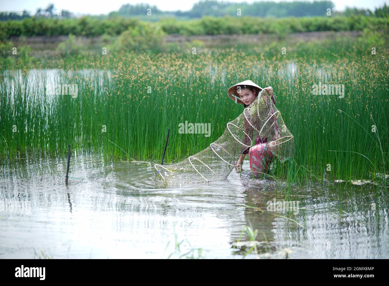 Bel paesaggio nella provincia di CA Mau Vietnam meridionale Foto Stock