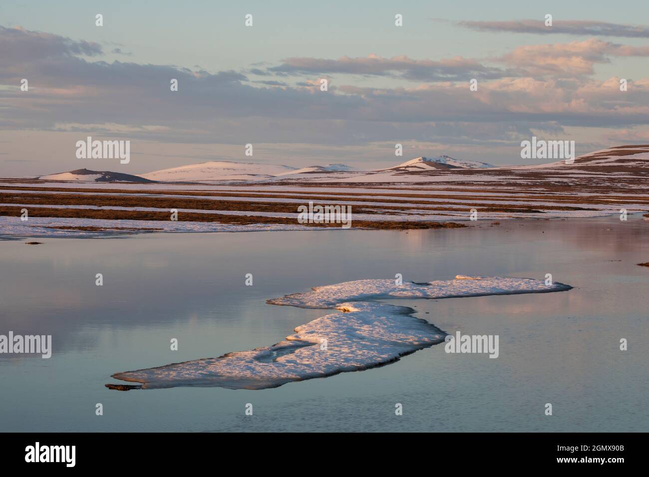 Penisola di Seward, paesaggio artico, Thaw primaverile Foto Stock