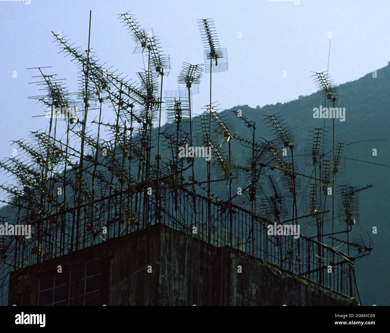 Hong Kong, 2005; molte persone a Hong Kong. Tutti guardano la TV. E la maggior parte delle persone sono crammed in blocchi di appartamenti densamente-imballati. Ecco il Foto Stock