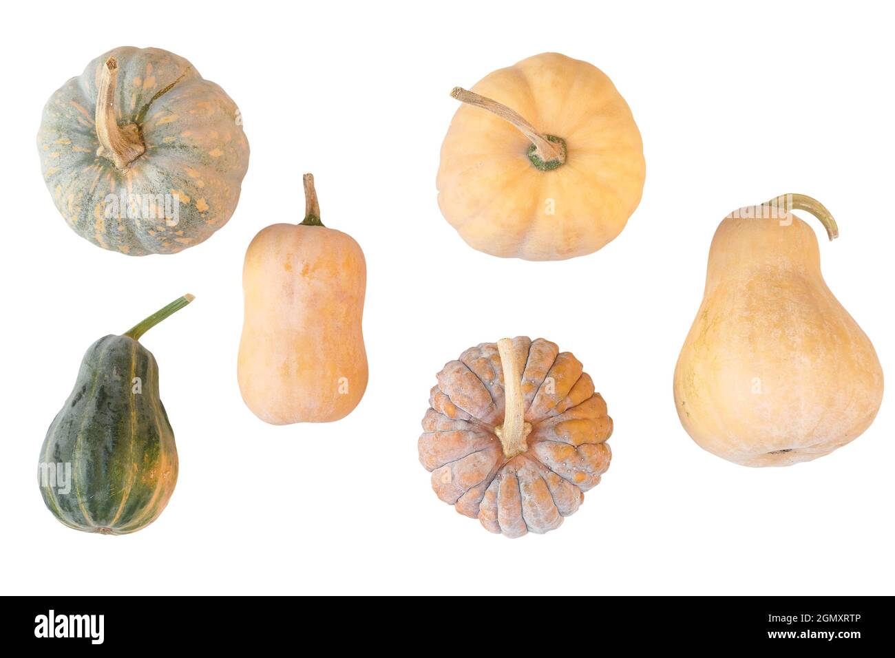 Zucche, spruzzi isolati su sfondo bianco. Varietà di zucche di Cucurbita moschata. Foto Stock