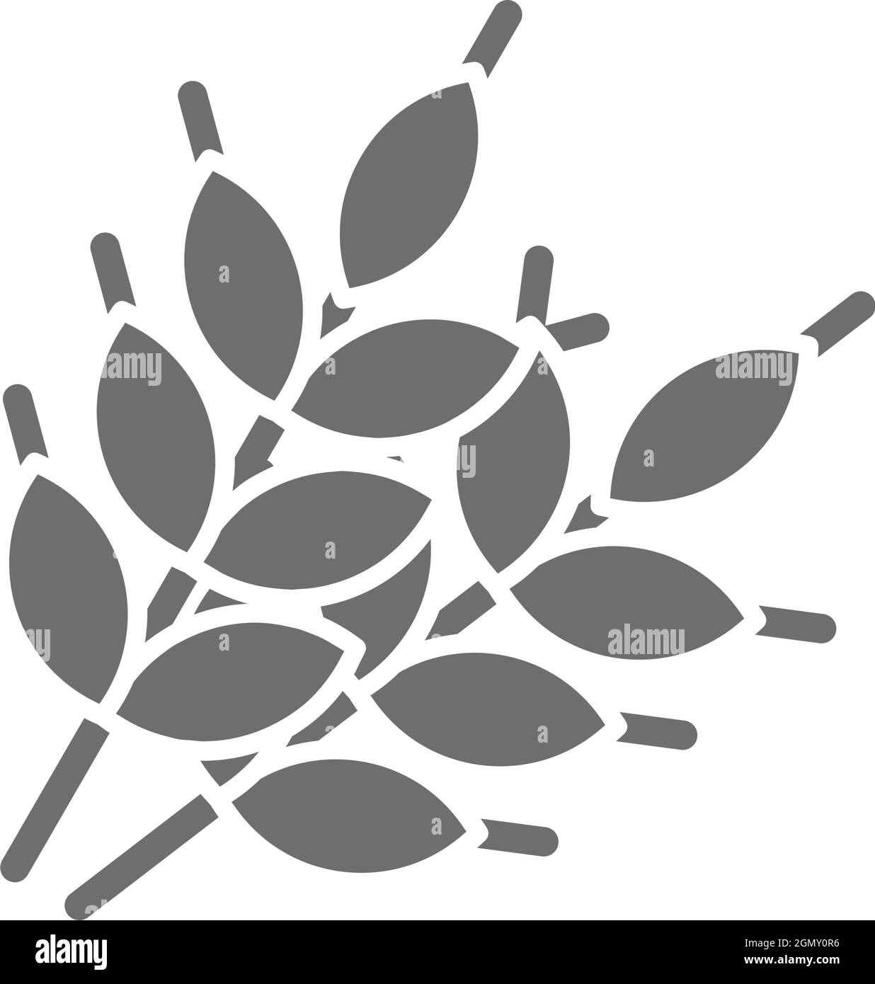 Icona dei grani di grano grigio. Isolato su sfondo bianco Illustrazione Vettoriale