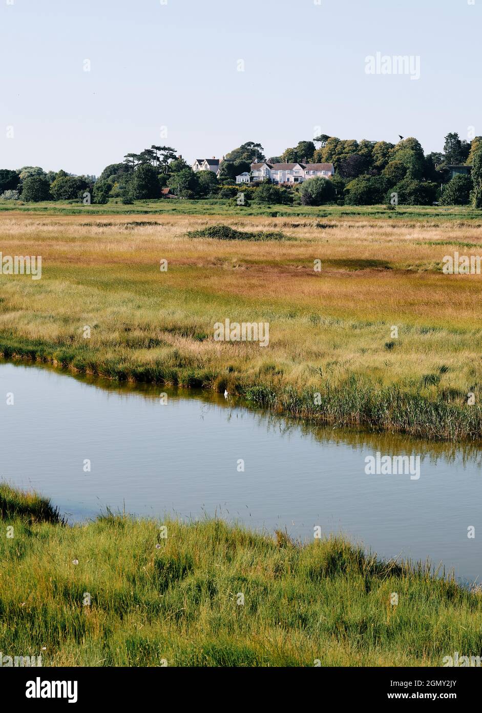 Il paesaggio estivo della vale di Slaughden, Marsh Slichden / Marshes Aldeburg ad Aldeburgh Suffolk Inghilterra UK Foto Stock