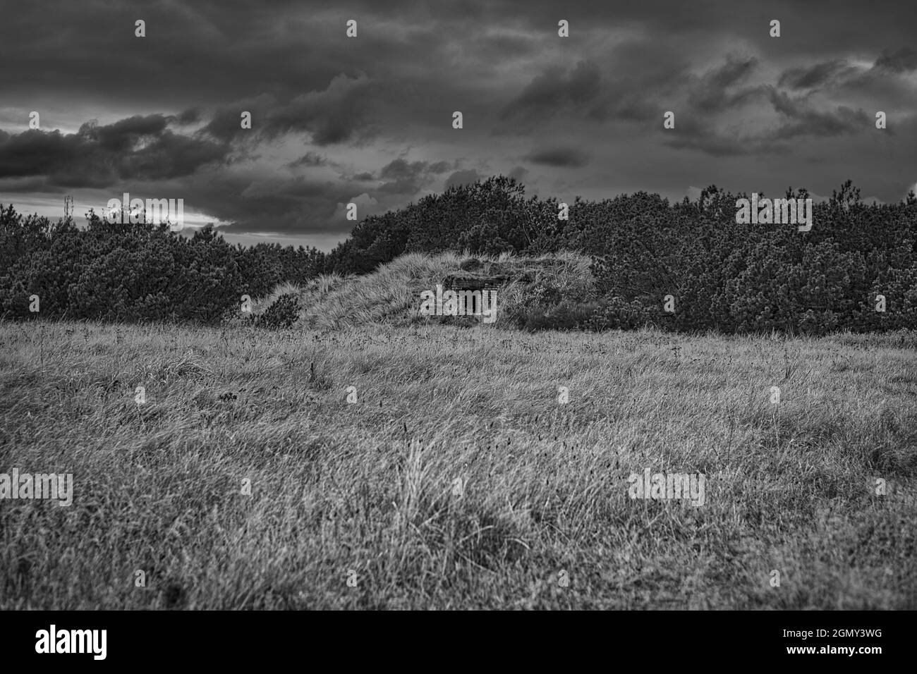 Bunker nelle dune della Danimarca prese in bianco e nero. Questi bunker furono costruiti durante la seconda guerra mondiale. Reliquie da un tempo buio Foto Stock