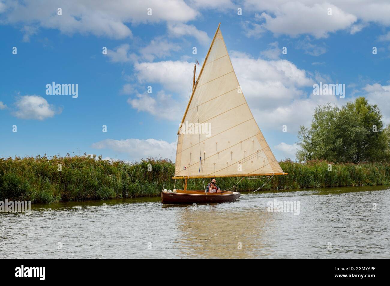 Una barca a vela sul Norfolk broads. Foto Stock