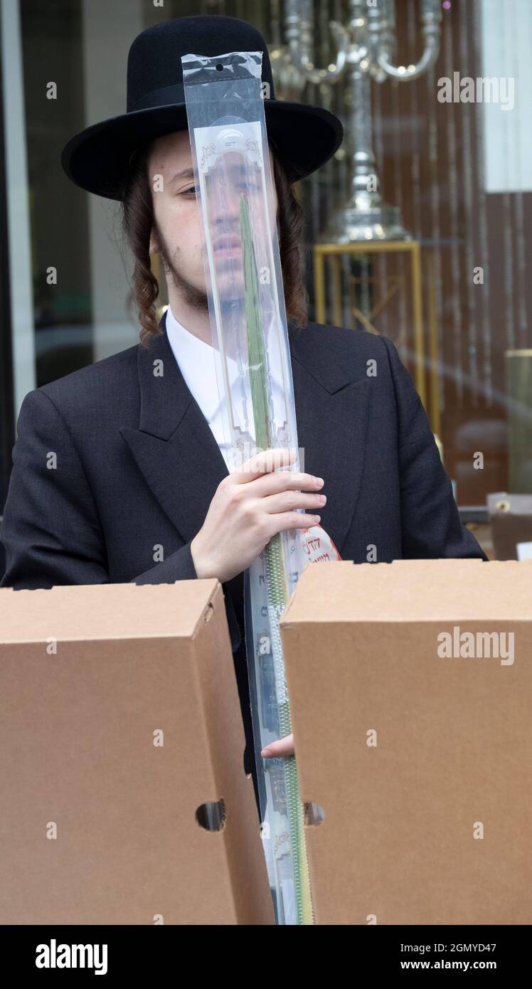 Un ebreo ortodosso esamina un lulav che cerca di acquistarne uno senza difetti. Su Lee Ave. A Williamsburg, Brooklyn, New York City. Foto Stock