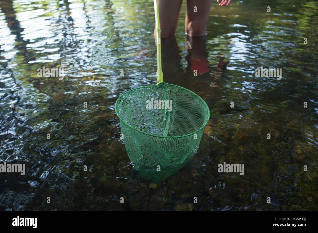 Bambina che gioca con la rete di pesca nel fiume. Vacanze dove i bambini possono andare selvaggio concetto Foto Stock