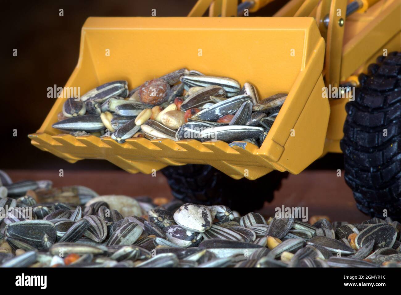 Modello di un veicolo da costruzione al lavoro con semi di uccelli Foto Stock