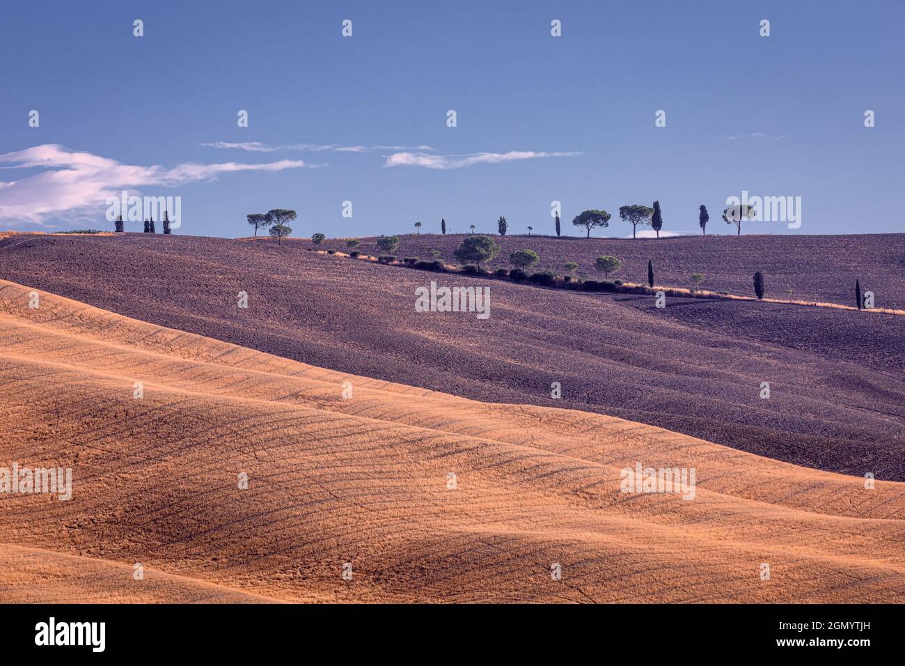 Il paesaggio toscano, Toscana, Italia Foto Stock