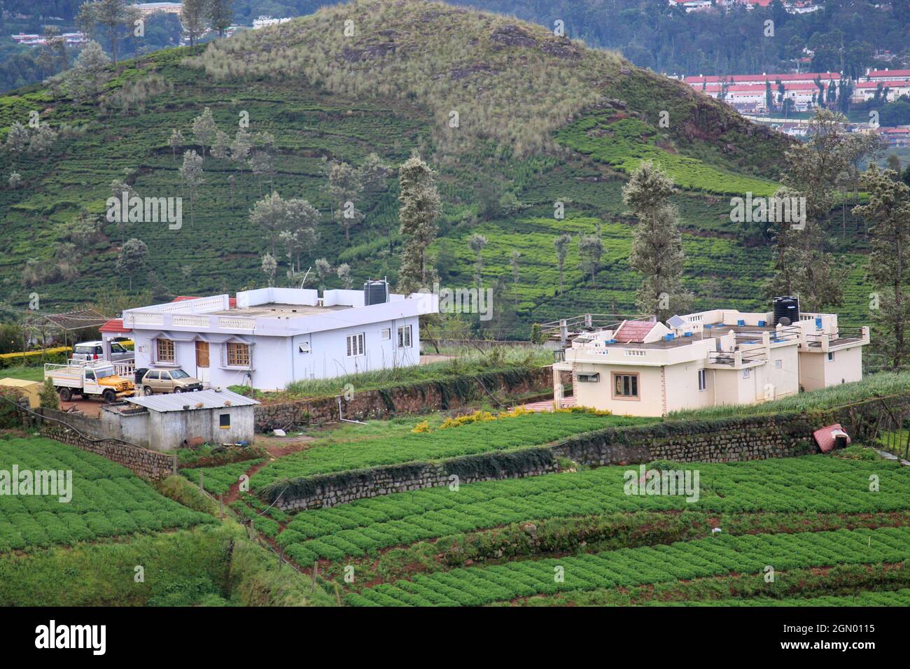 Case in cima alla collina, colline di Nilgiri, Tamilnadu, India Foto Stock