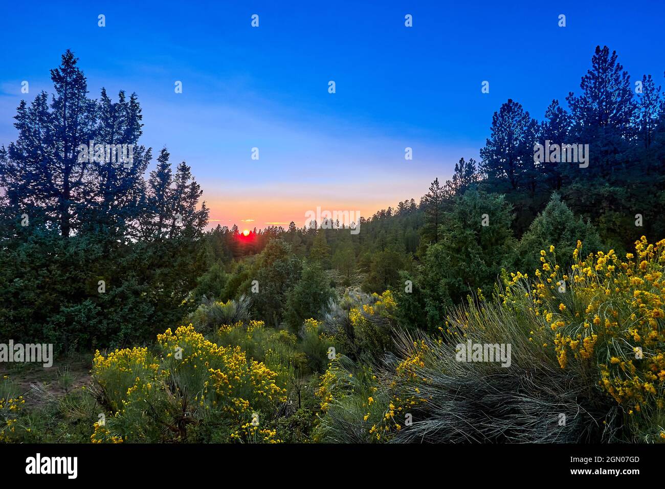 Tramonto al Pine Lake Campground nella Dixie National Forest, Utah. Foto Stock