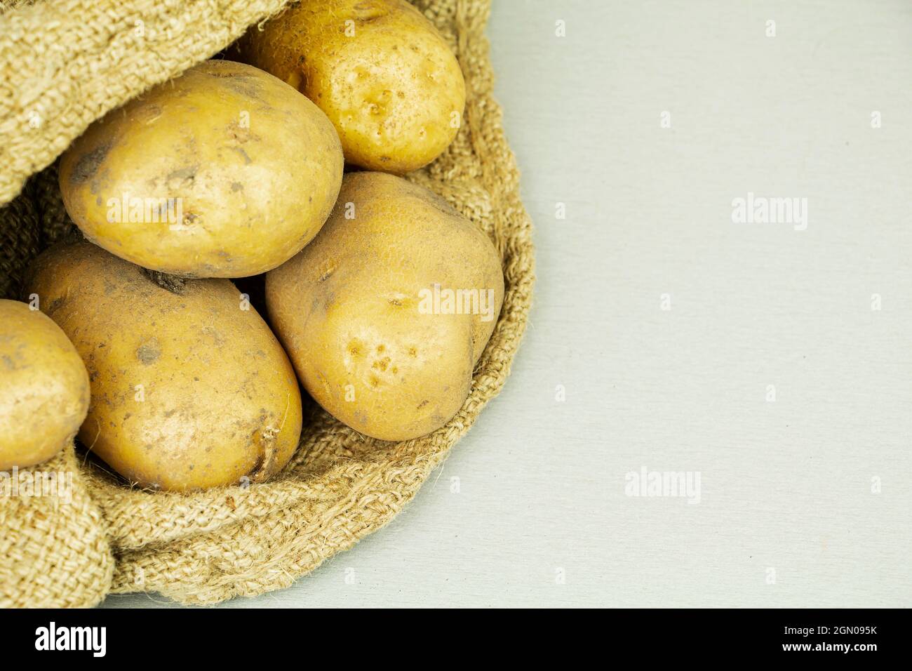 Raccolta di patate grandi fresche in un sacchetto. Prodotti alimentari Foto Stock