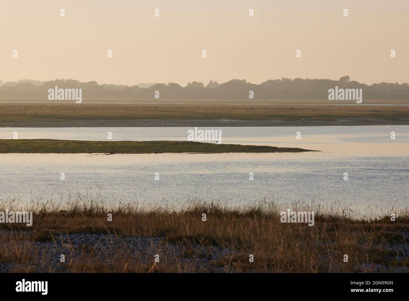 Bagliore caldo del sole sopra l'ambiente naturale di Pagham, Regno Unito. Foto Stock