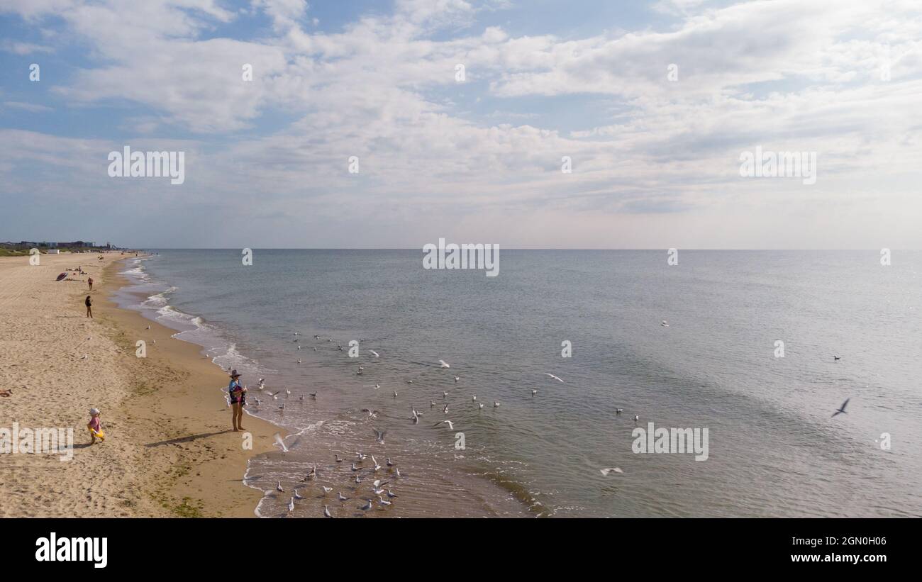 Zatoka, Odessa, Ucraina - 4 settembre 2021: Drone vista della scena della spiaggia, donna che alimenta i gabbiani sulla costa del Mar Nero. Foto Stock