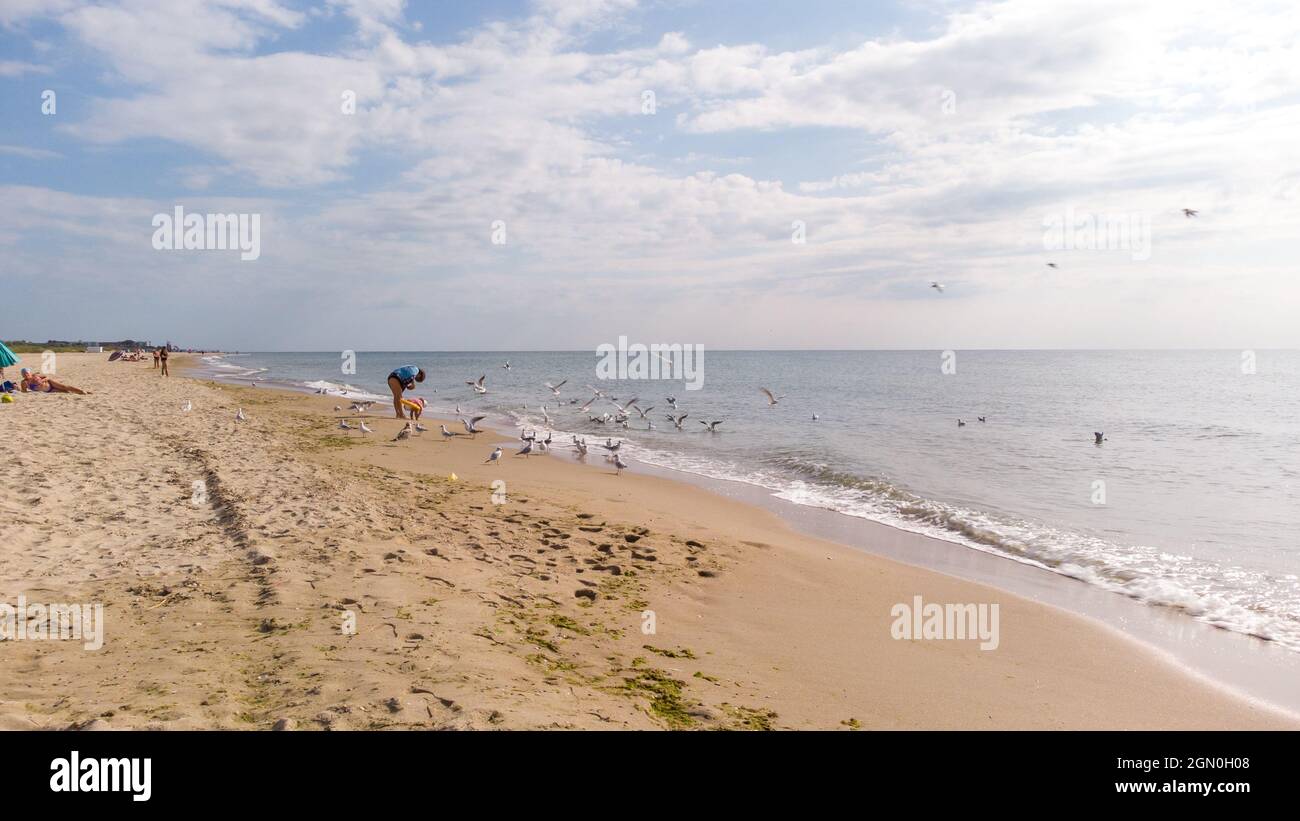 Zatoka, Odessa, Ucraina - 4 settembre 2021: Drone vista della scena della spiaggia, donna che alimenta i gabbiani sulla costa del Mar Nero. Foto Stock