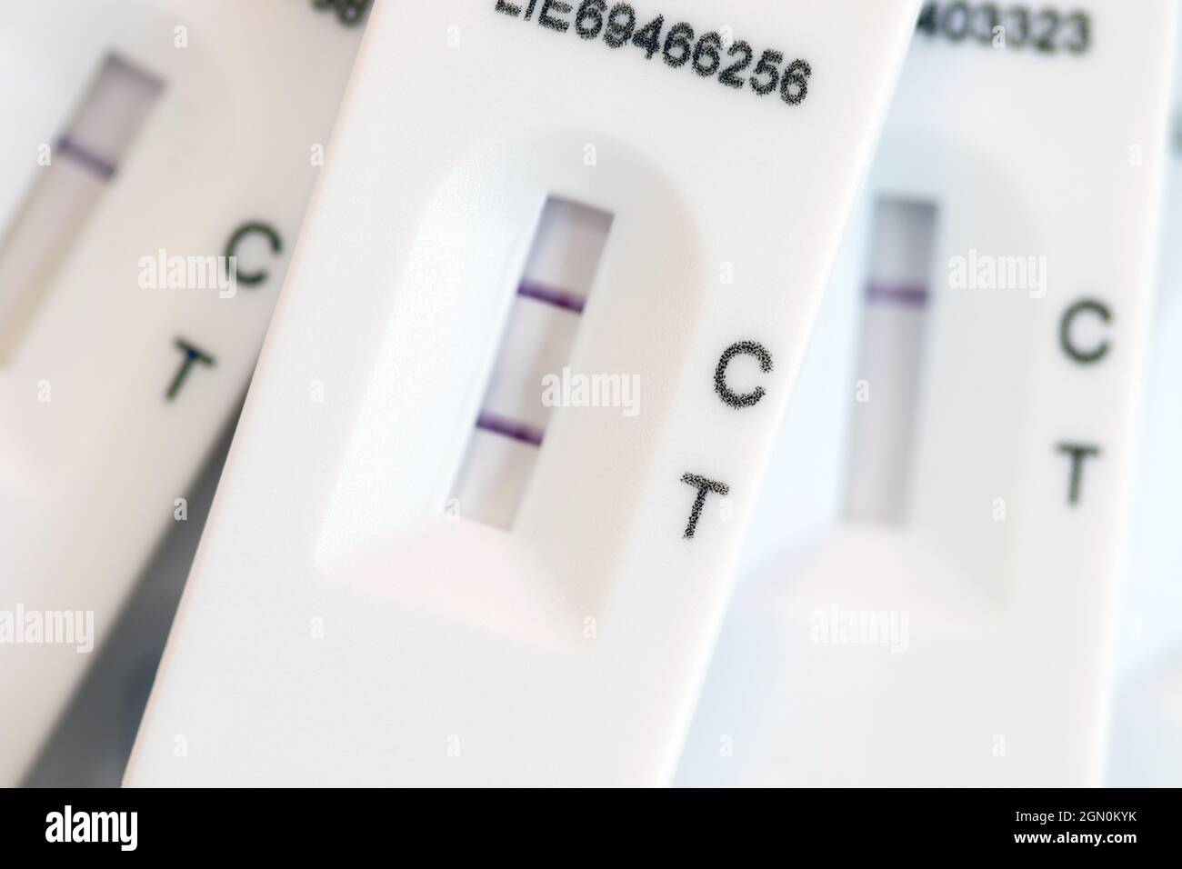 Striscia di prova a flusso laterale che mostra risultati negativi del test Covid 19 e un singolo risultato positivo simulato. Foto Stock