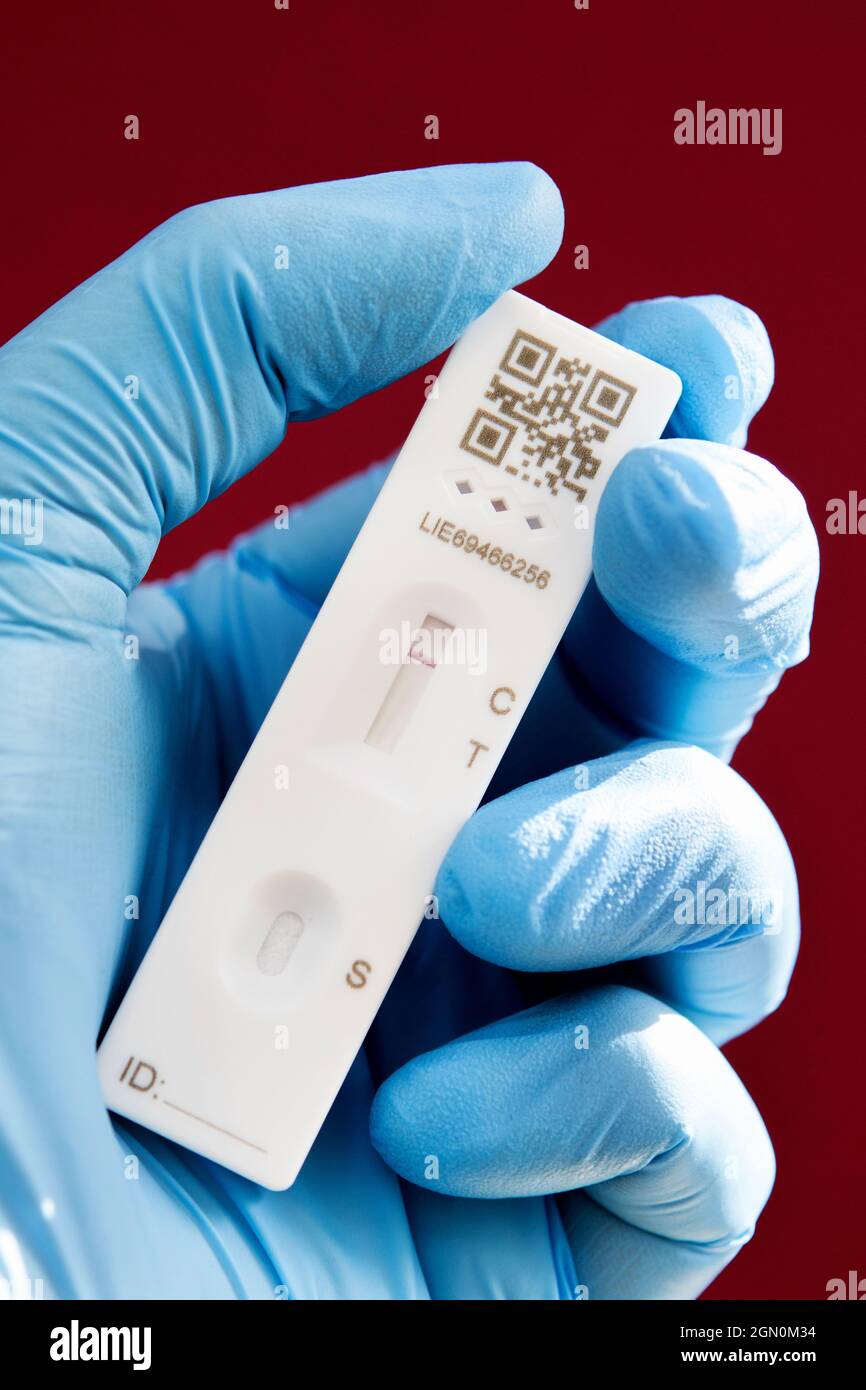 Guanti blu per uso medico che tengono una striscia di test a casa per test a flusso laterale con risultato negativo Covid 19 Foto Stock