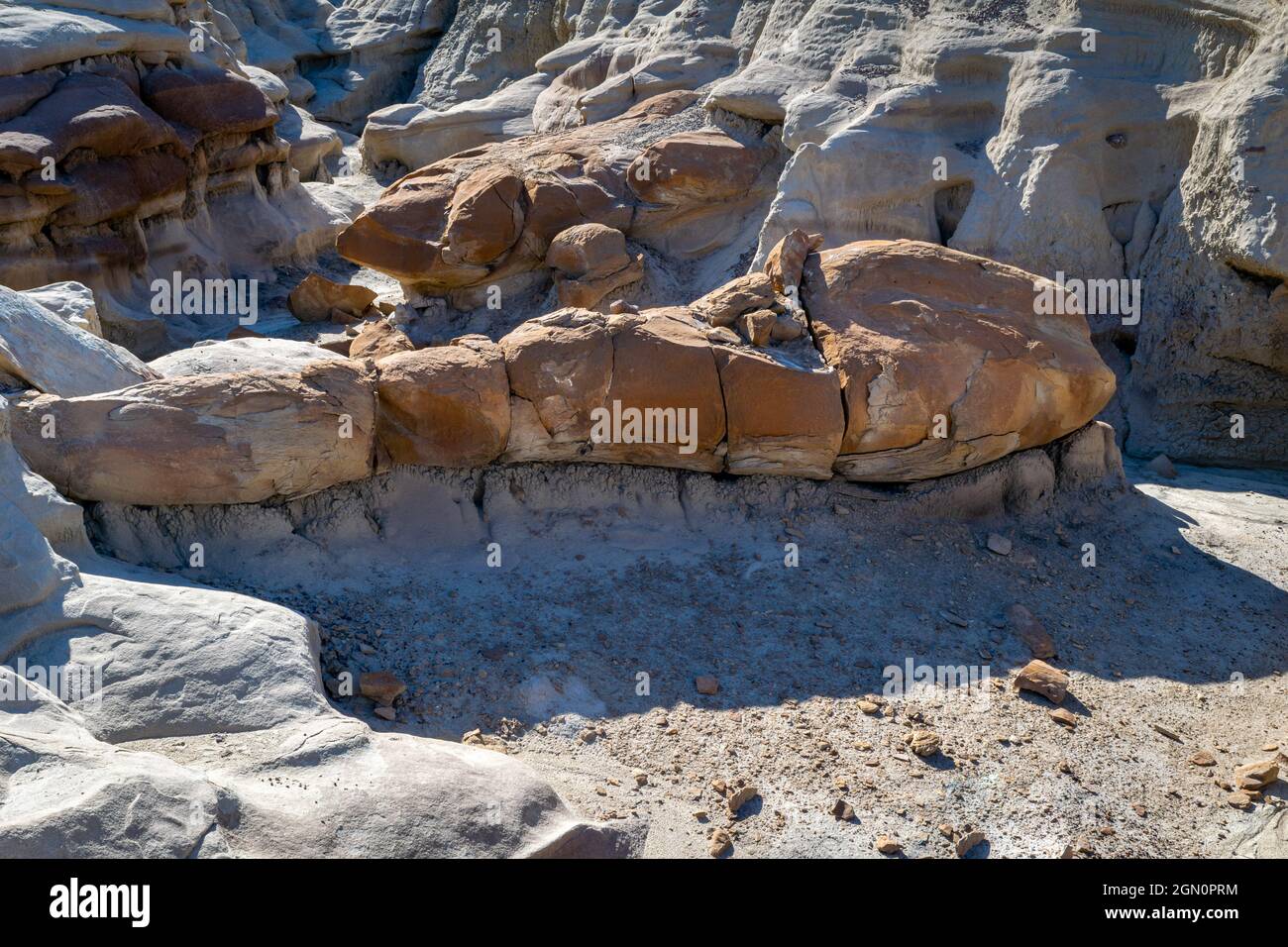 Le formazioni rocciose disseminate lungo i sentieri assumono le forme di pesci o altri animali Foto Stock
