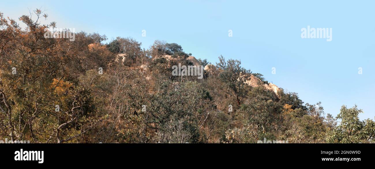 Colline e campi asciutti nella zona del altopiano Deccan, India Foto Stock