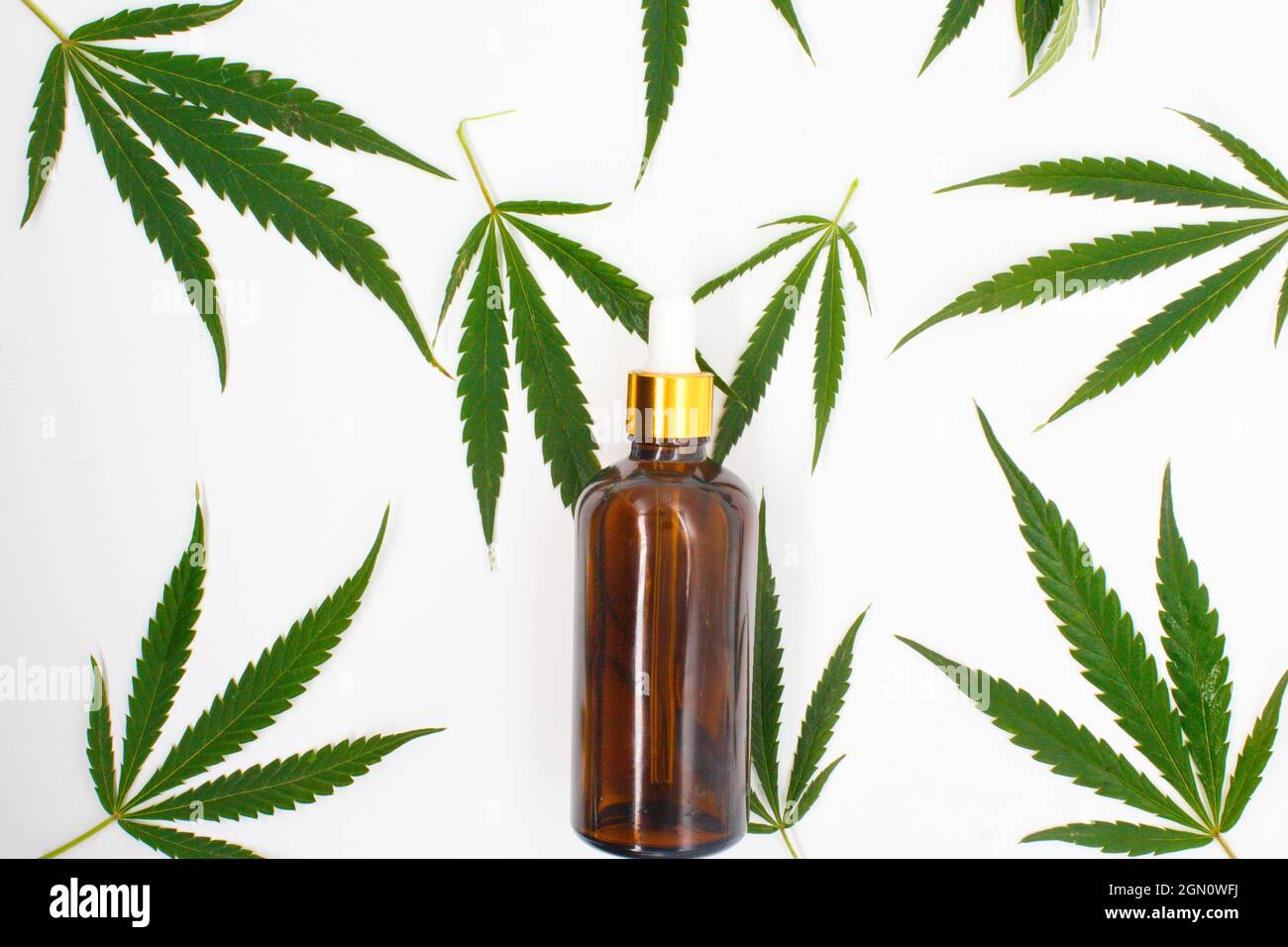 Una bottiglia di cannabis CBD o olio di canapa su foglie di marijuana concetto di medicina alternativa. Cosmetici e prodotti per la cura della pelle Foto Stock
