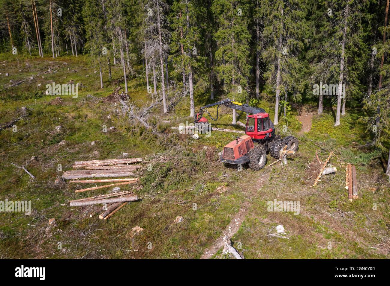 La vendemmiatrice forestale taglia piccoli pezzi albero tagliato fresco, macchina completamente automatica nella foresta, foto aerea dall'alto verso il basso Foto Stock