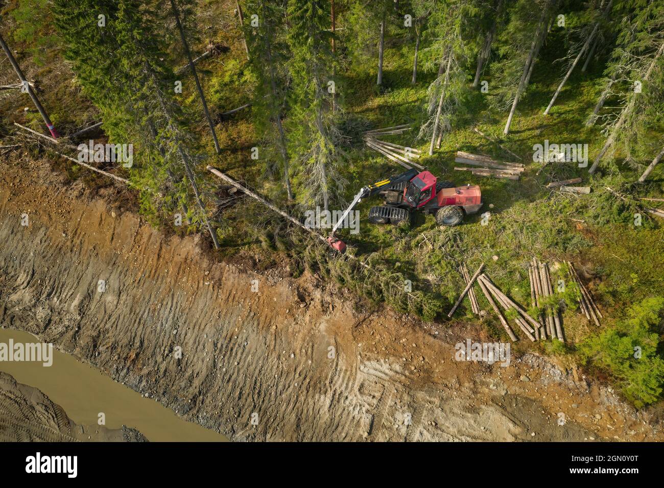 Raccolta nella foresta con macchina completamente automatica, foto aerea dall'alto in basso. Foto Stock