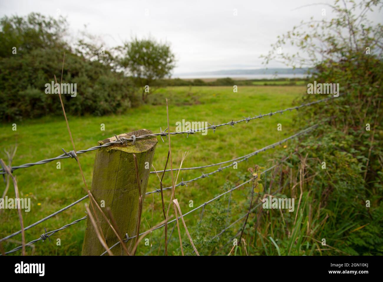 Il bordo del campo di un coltivatore con una recinzione di filo e recinzione di filo spinato. Foto Stock