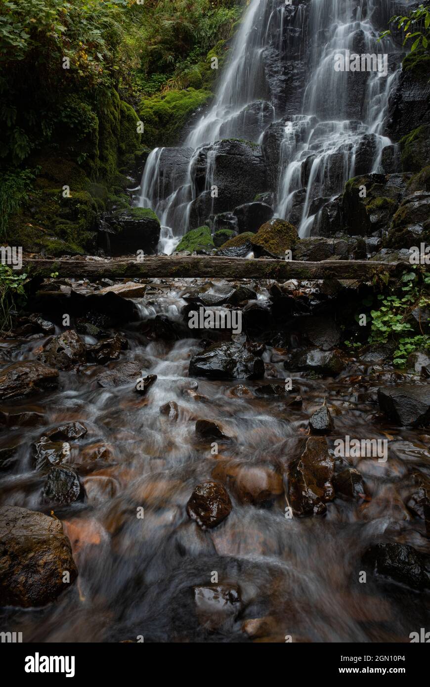 Splendida cascata di Fairy Falls nella lussureggiante foresta escursionistica della Columbia River Gorge, Oregon Foto Stock