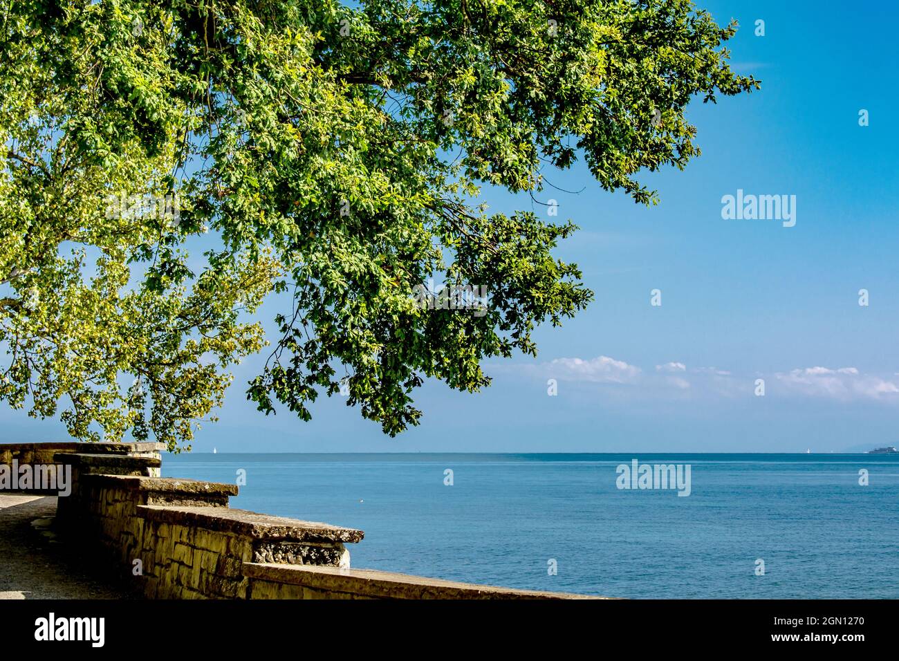 Baden-Wurttemberg : Isola di Mainau Foto Stock