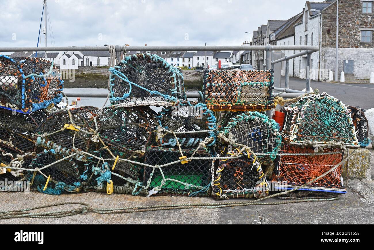 Scricchiolature di aragosta nel porto, isola di Whithorn, Scozia Foto Stock