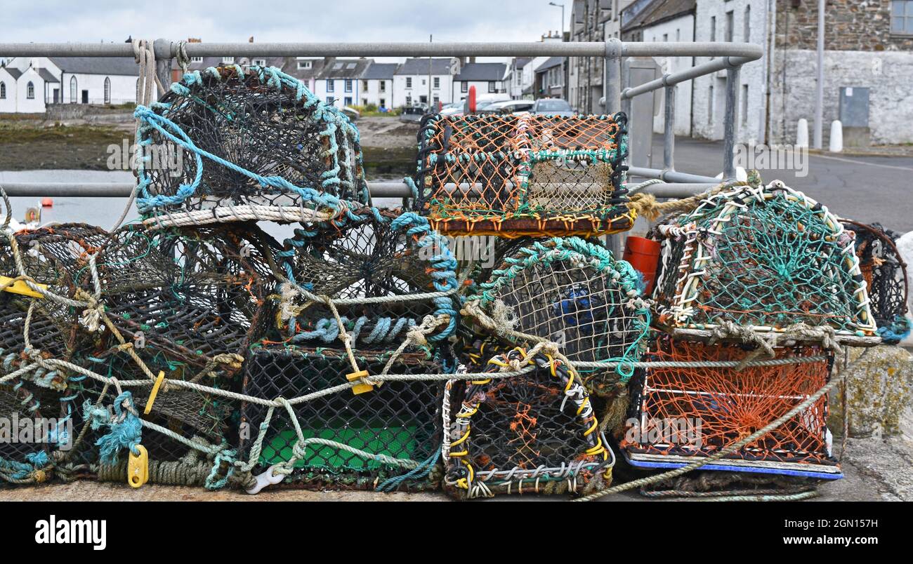 Scricchiolature di aragosta nel porto, isola di Whithorn, Scozia Foto Stock