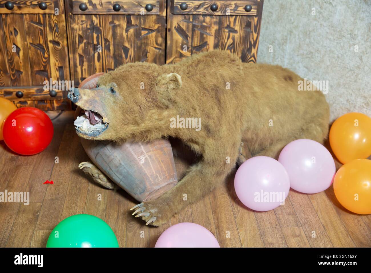 Pelle di un orso all'interno del ristorante . Pelle di orso nel ristorante. L'orso apre la bocca e ha una ciotola in mano. Foto Stock