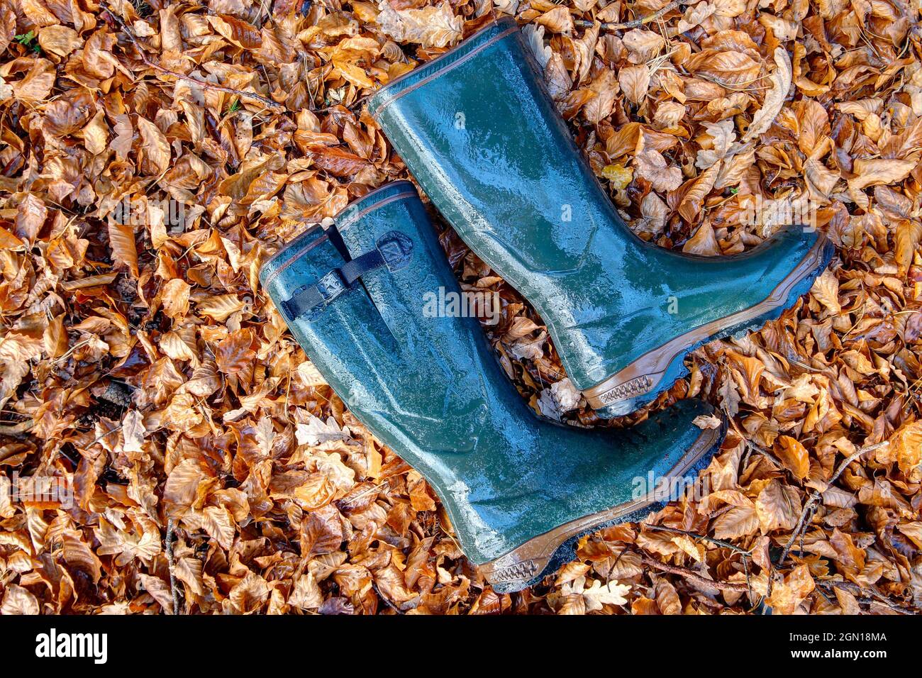 Stivali in gomma verde e bagnata si trovano nelle foglie colorate e regalano al giorno d'autunno un tocco di colore. Foto Stock