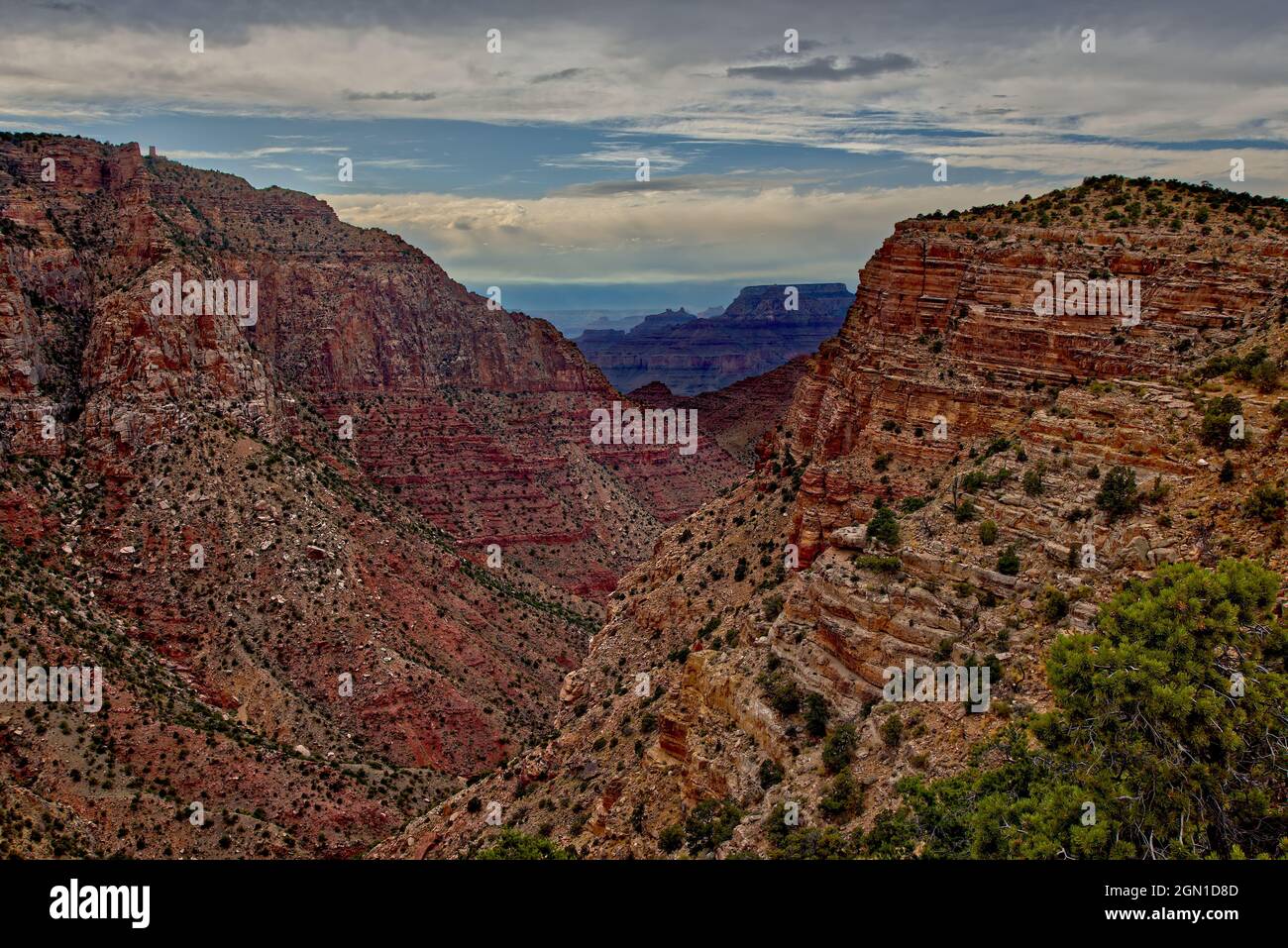 Vista sul Grand Canyon dall'estremità sud di Palisades del deserto. Situato sul lato est del bordo sud. Foto Stock