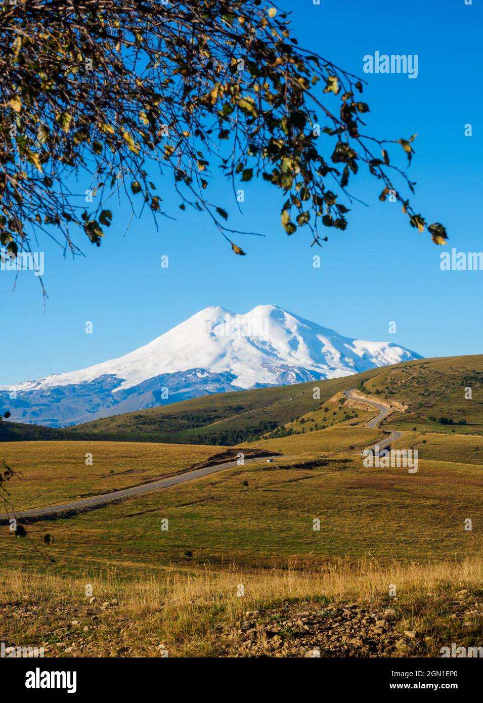 Colline autunnali con strada curva fino alla lontana montagna innevata. Con rami di betulla appesi. Verticale Foto Stock