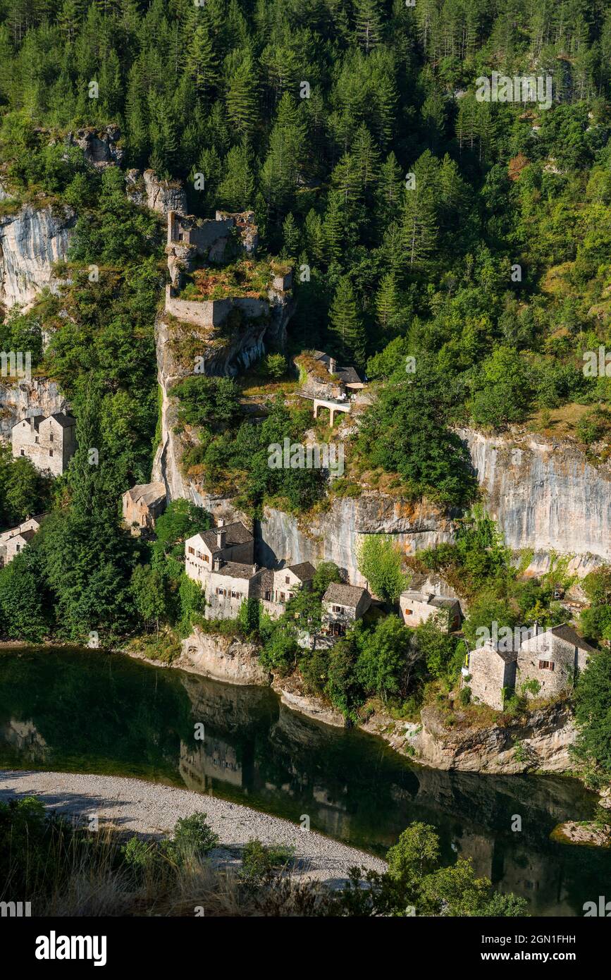 Castelbouc, Gorges du Tarn, Parc National des Cévennes, Parco Nazionale delle Cévennes, Lozère, Languedoc-Roussillon, Occitania, Francia Foto Stock