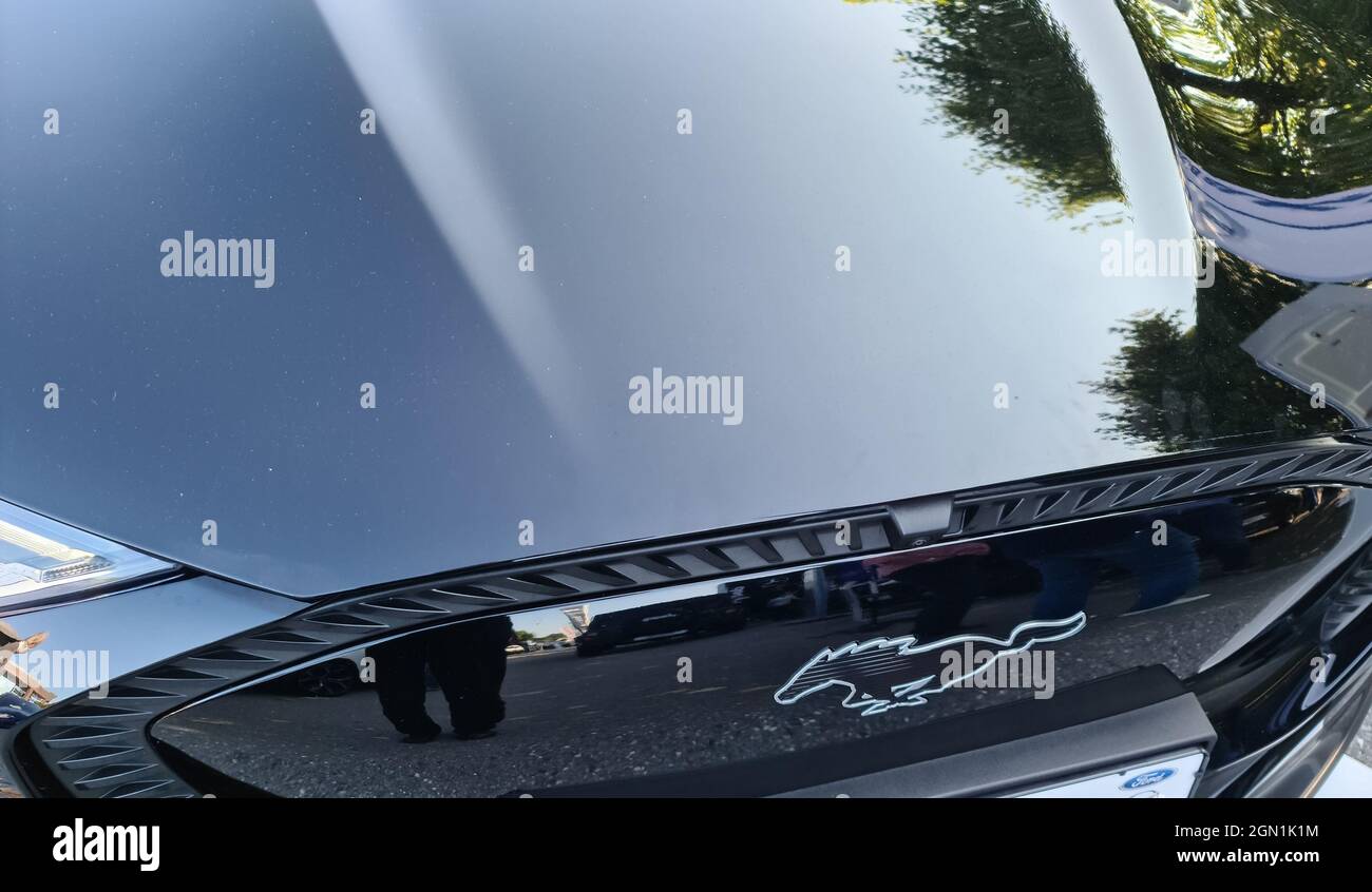 KIEL, GERMANIA - Sep 03, 2021: Il logo anteriore di un'auto Ford Mustang Mach-E. Foto Stock