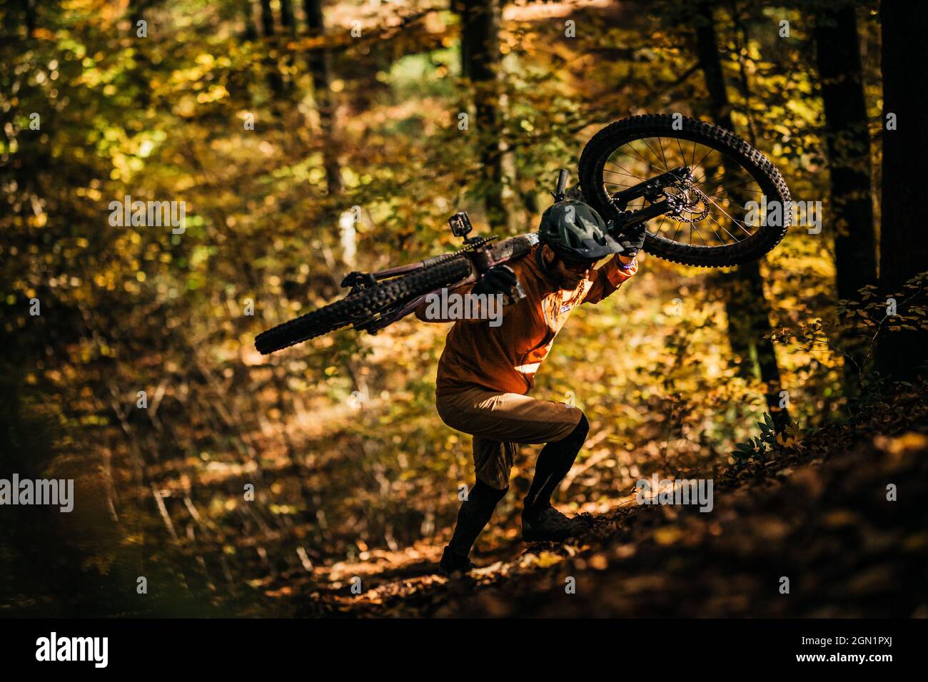 Mountain biker porta la sua bicicletta attraverso la foresta autunno, mountain biker, autunno, foresta Foto Stock