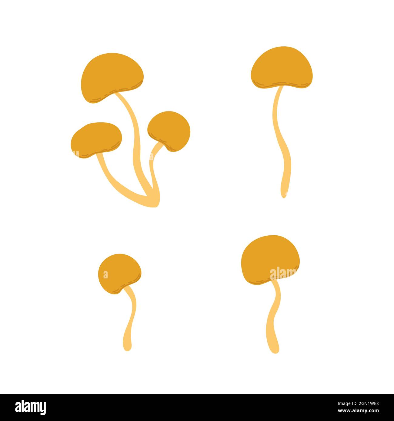 Foresta bolo giallo commestibile, miele fungo illustrazione vettoriale, stagionale autunno semplice disegno sano vegetariano dieta ingrediente per il menu di disegno, a mano disegno Illustrazione Vettoriale