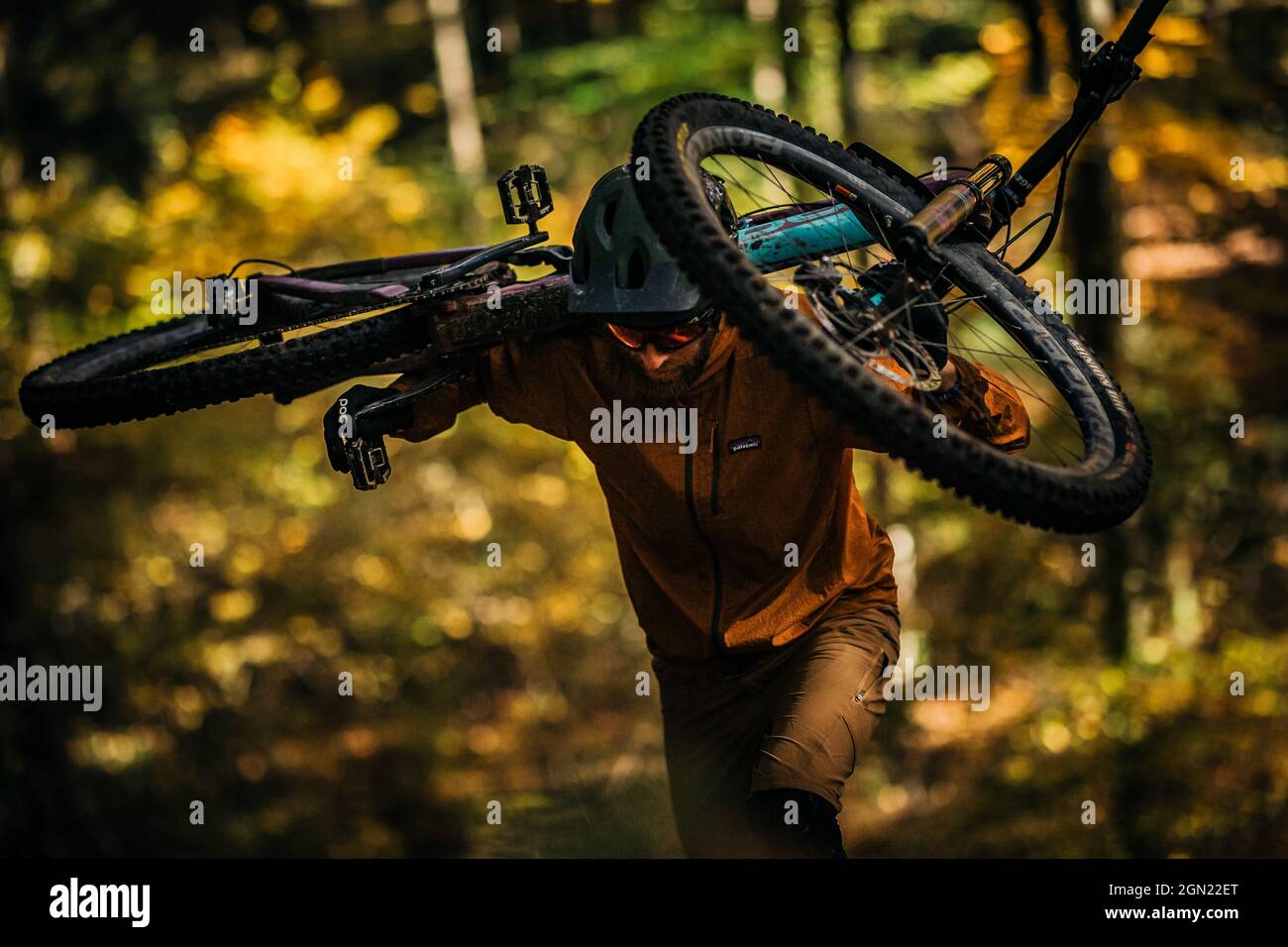 Mountain biker porta la sua bicicletta attraverso la foresta autunno, mountain biker, autunno, foresta Foto Stock