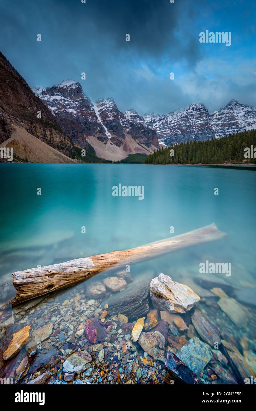 CANADA, ALBERTA, BANFF PARK MORAINE LAKE. TRONCO DI ALBERO GALLEGGIANTE NEL LAGO DALLA RIVA CON CIOTTOLI COLORATI, CON UNA VISTA SULLE MAESTOSE VETTE DEL Foto Stock