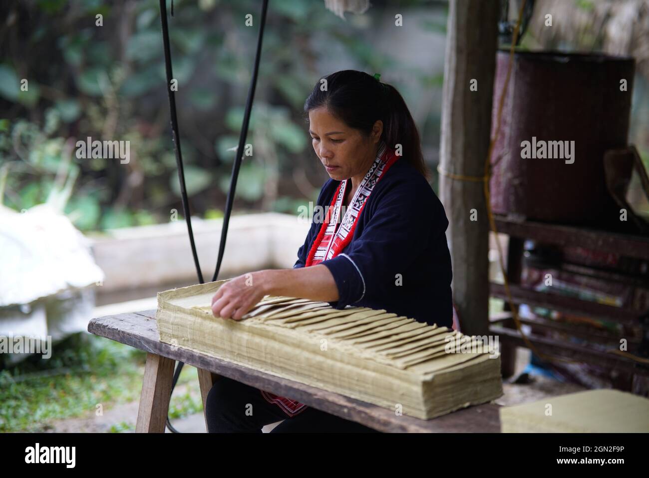 Vita quotidiana nella provincia di ha Giang nel nord del Vietnam Foto Stock