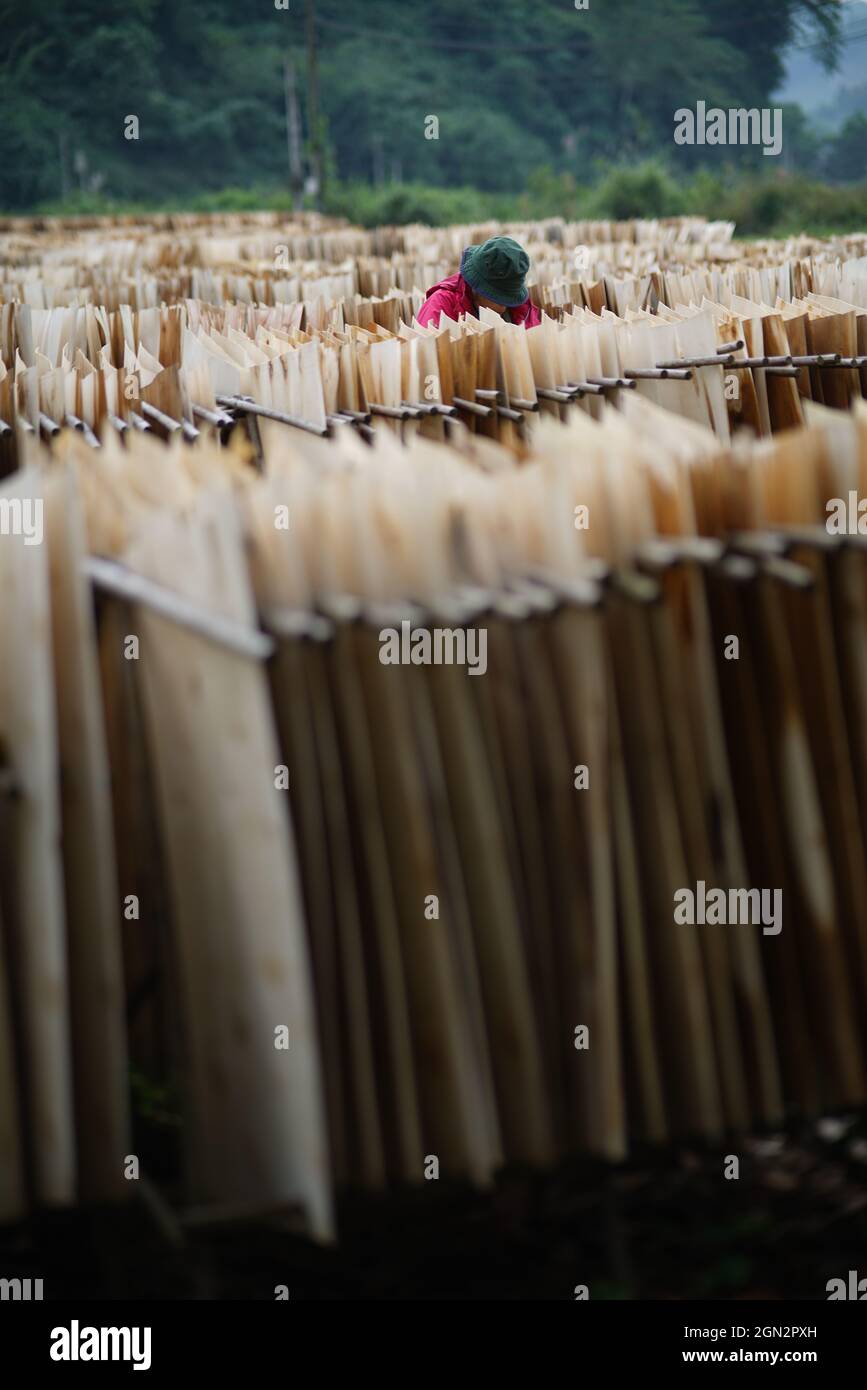 Fabbrica di carta nella provincia di ha Giang nel nord del Vietnam Foto Stock